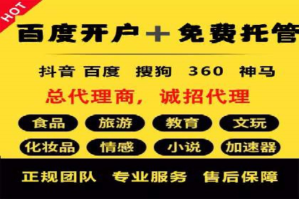抖音信息流代理在电商行业的应用案例分析